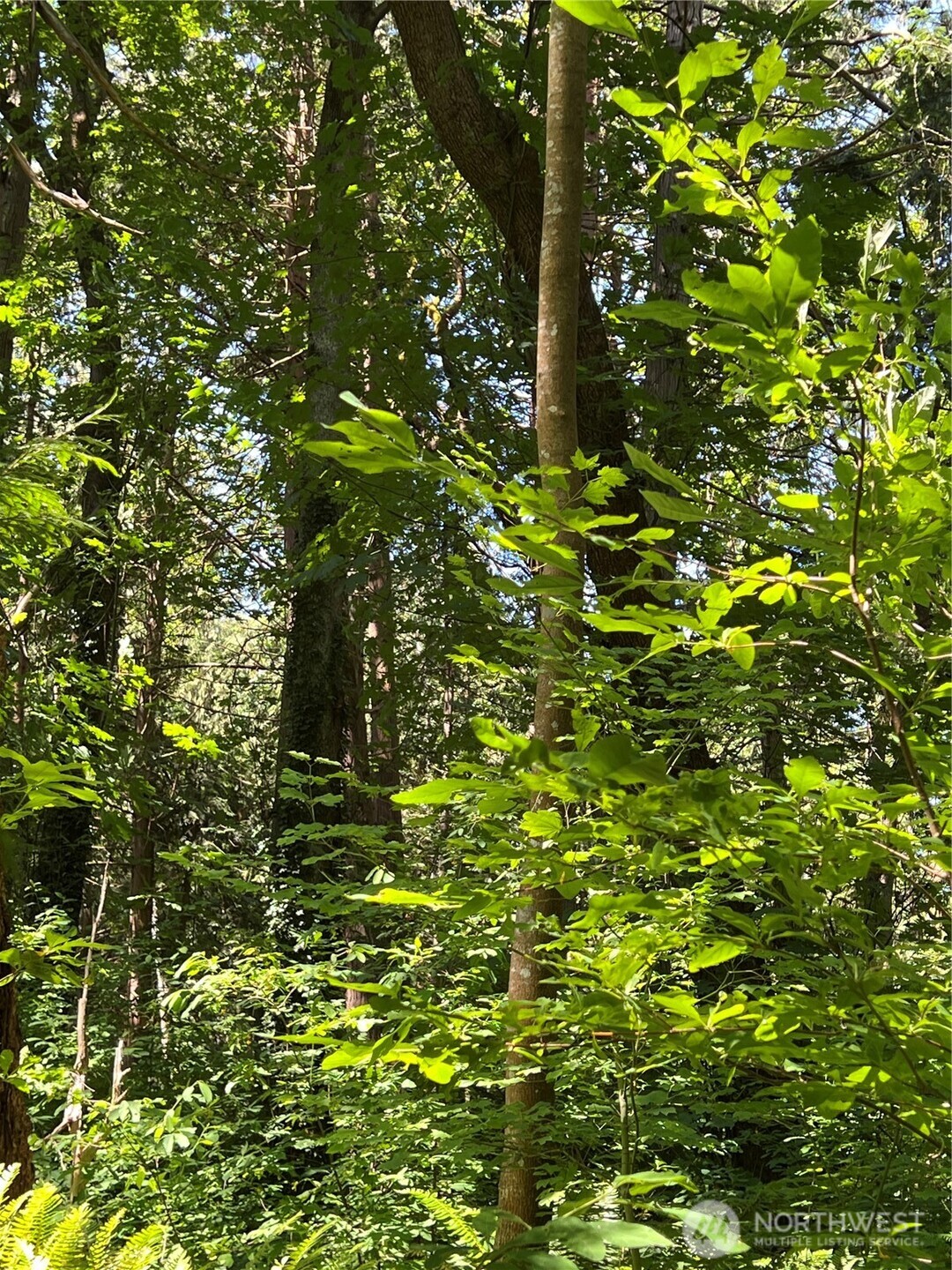 6 acres South Beach Road , Point Roberts, WA 98281