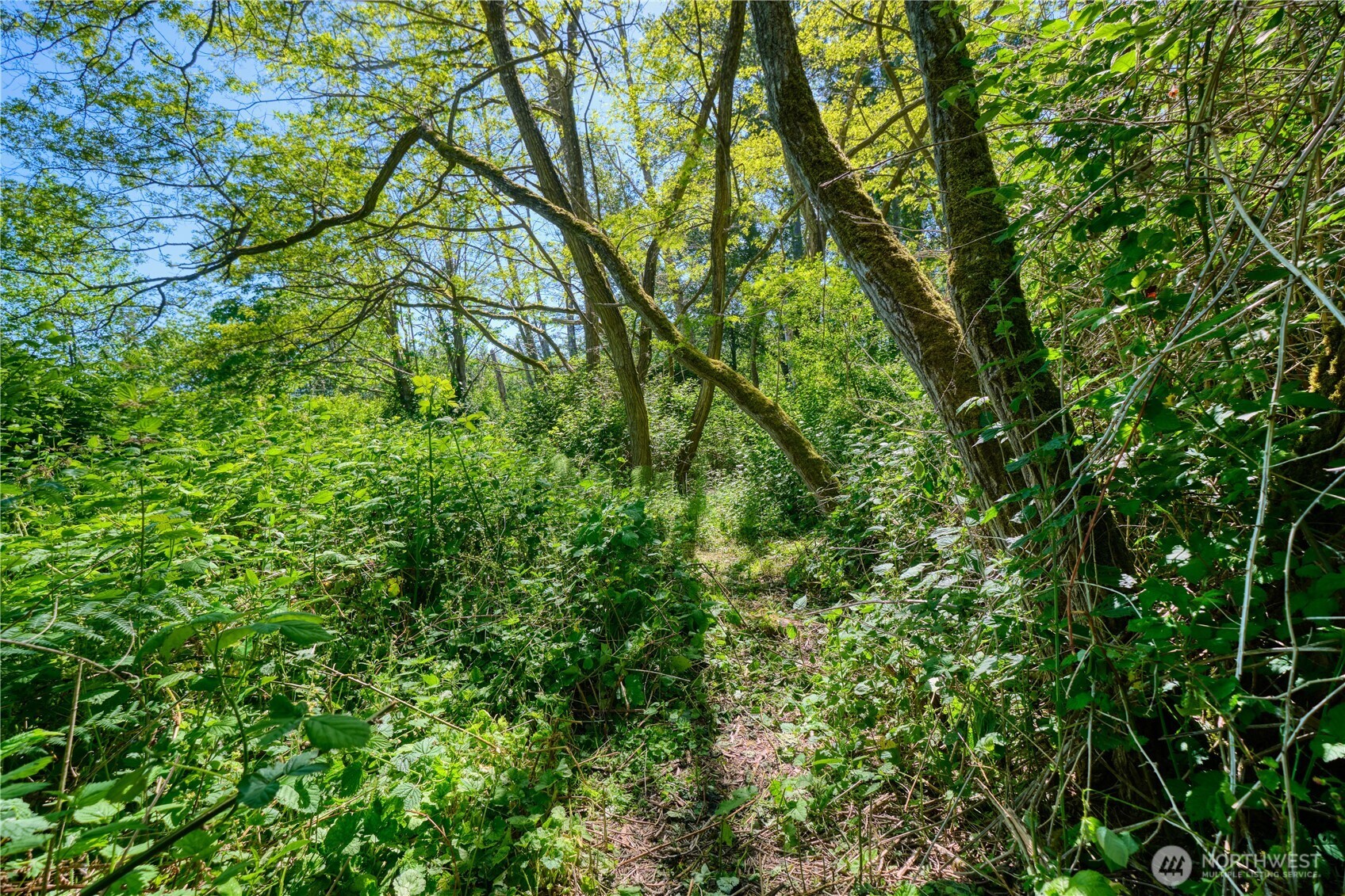 6 acres South Beach Road , Point Roberts, WA 98281