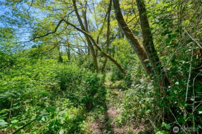 6 acres South Beach Road , Point Roberts, WA 98281 - Photo 4