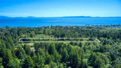 6 acres South Beach Road , Point Roberts, WA 98281 - Photo 5