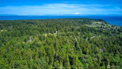 6 acres South Beach Road , Point Roberts, WA 98281 - Photo 6