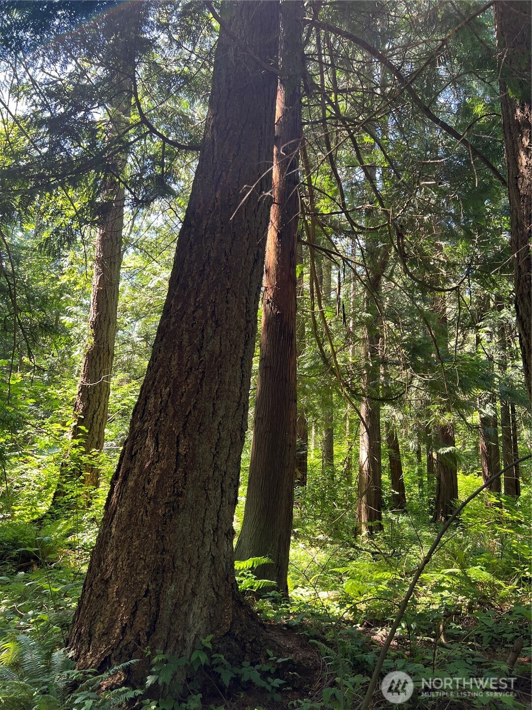 6 acres South Beach Road , Point Roberts, WA 98281