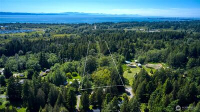 6 acres South Beach Road , Point Roberts, WA 98281 - Photo 10