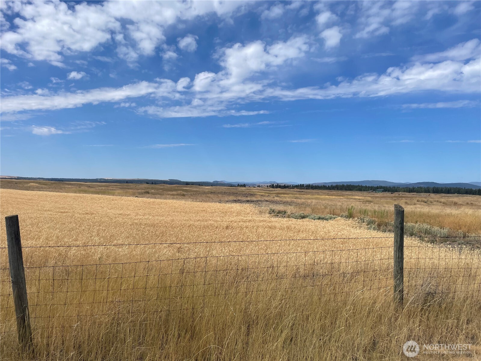 35251 Crescent Road N #1, Reardan, WA 99029