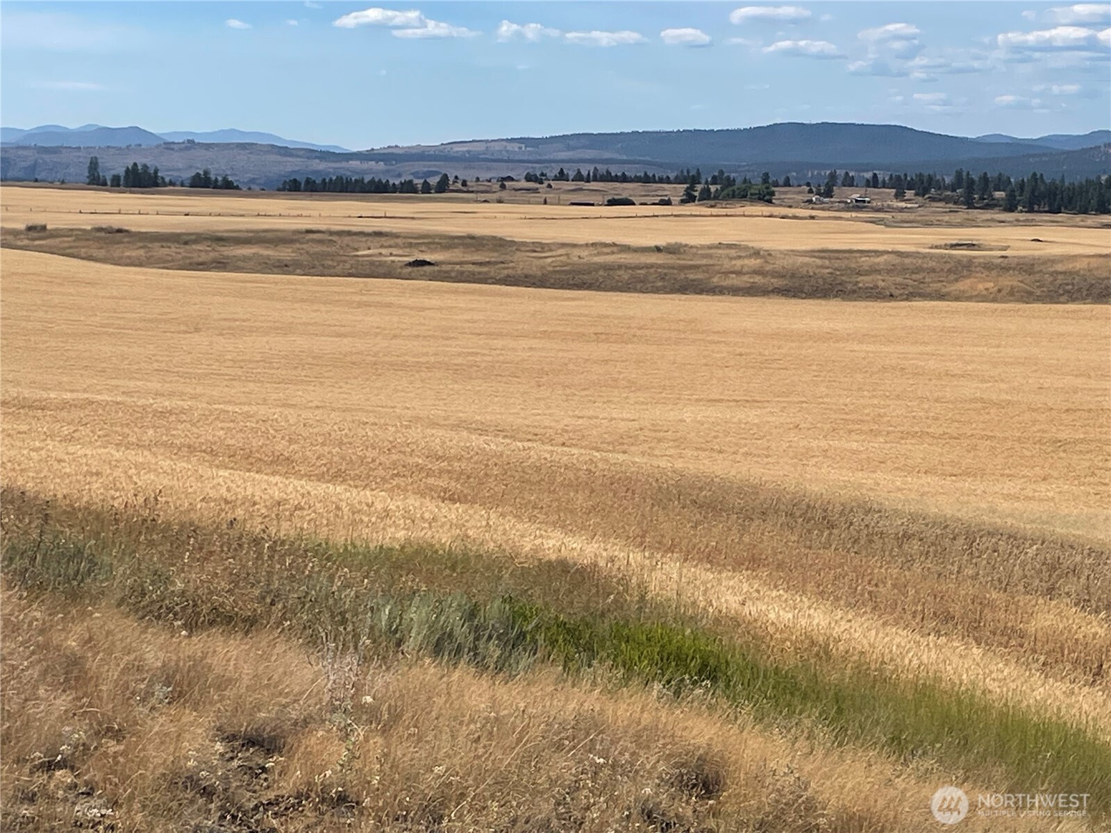 35251 Crescent Road N #1, Reardan, WA 99029