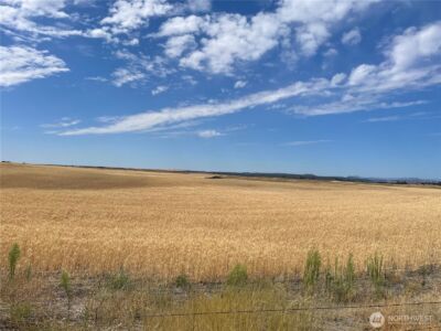 35251 Crescent Road N #2, Reardan, WA 99029 - Photo 14