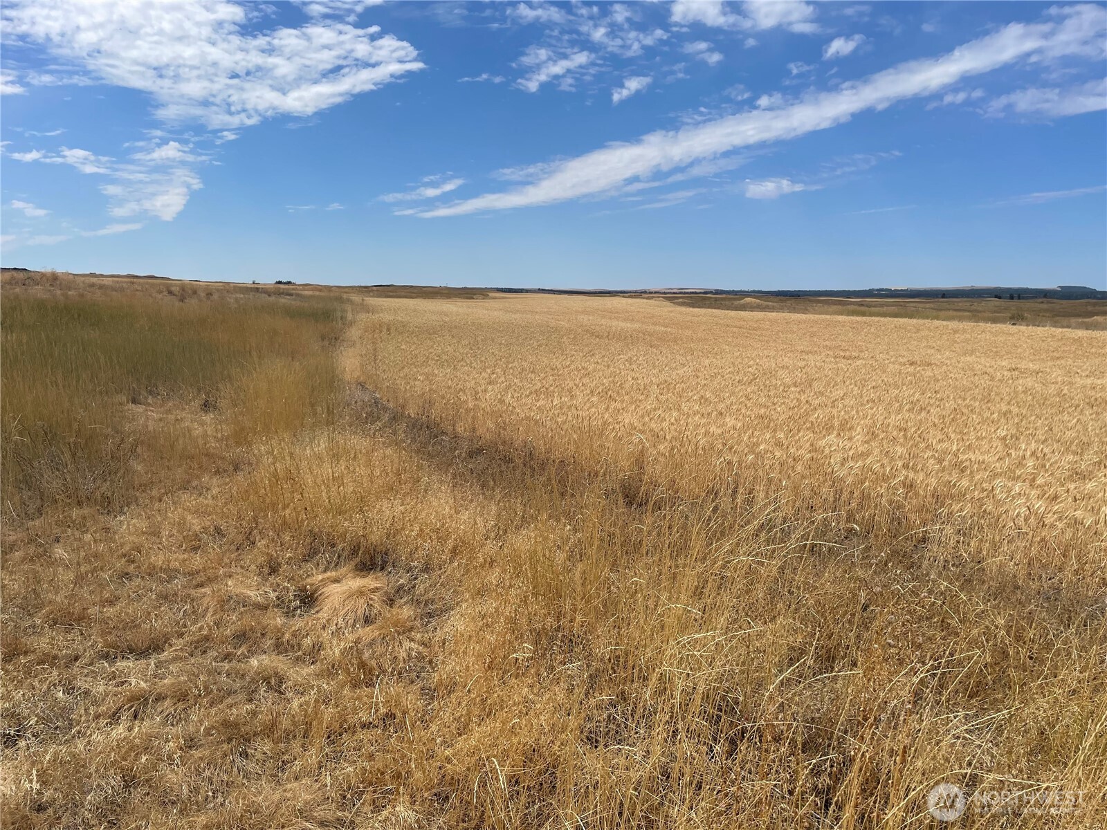 35251 Crescent Road N #2, Reardan, WA 99029
