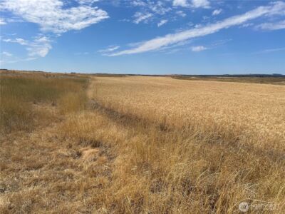 35251 Crescent Road N #2, Reardan, WA 99029 - Photo 15