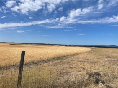 35251 Crescent Road N #2, Reardan, WA 99029 - Photo 16