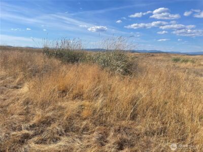 35251 Crescent Road N #2, Reardan, WA 99029 - Photo 7