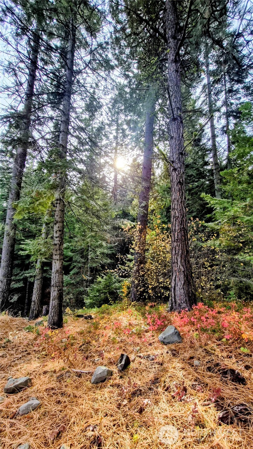 6299 Alder Ct , Wenatchee, WA 98801