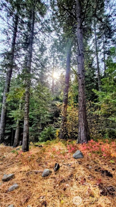 6299 Alder Ct , Wenatchee, WA 98801