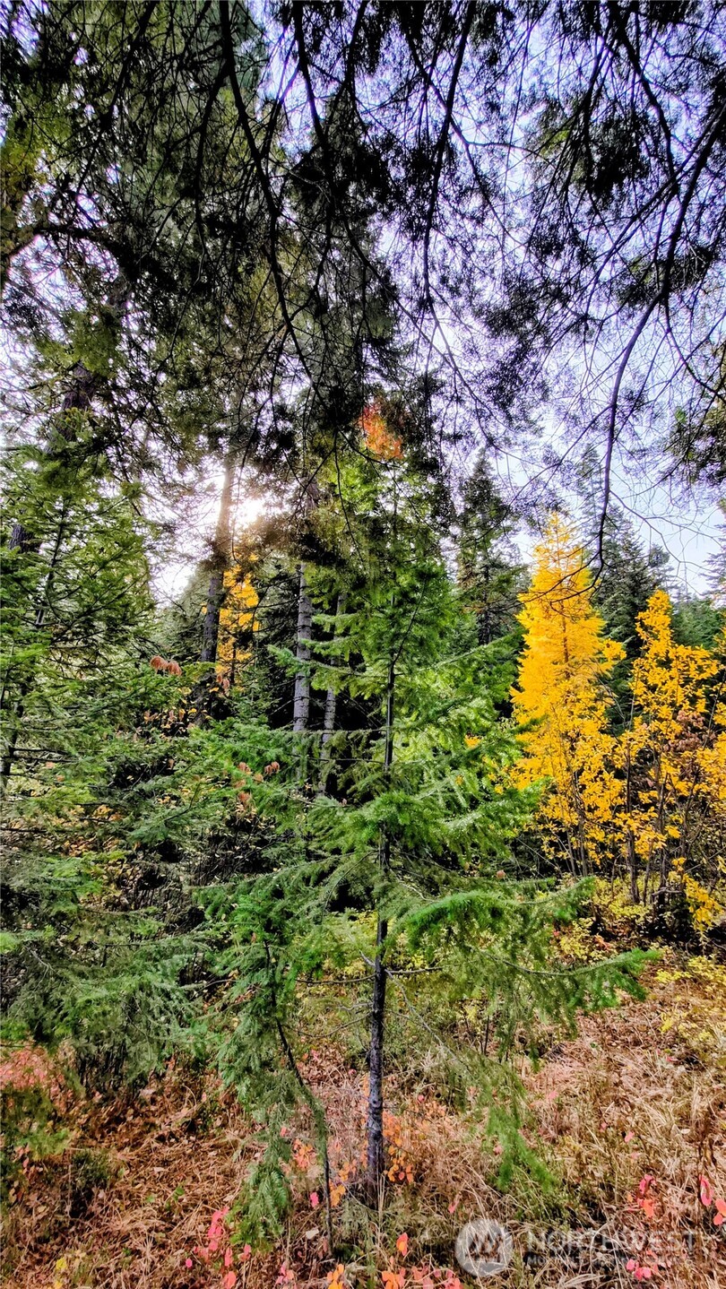 6299 Alder Ct , Wenatchee, WA 98801