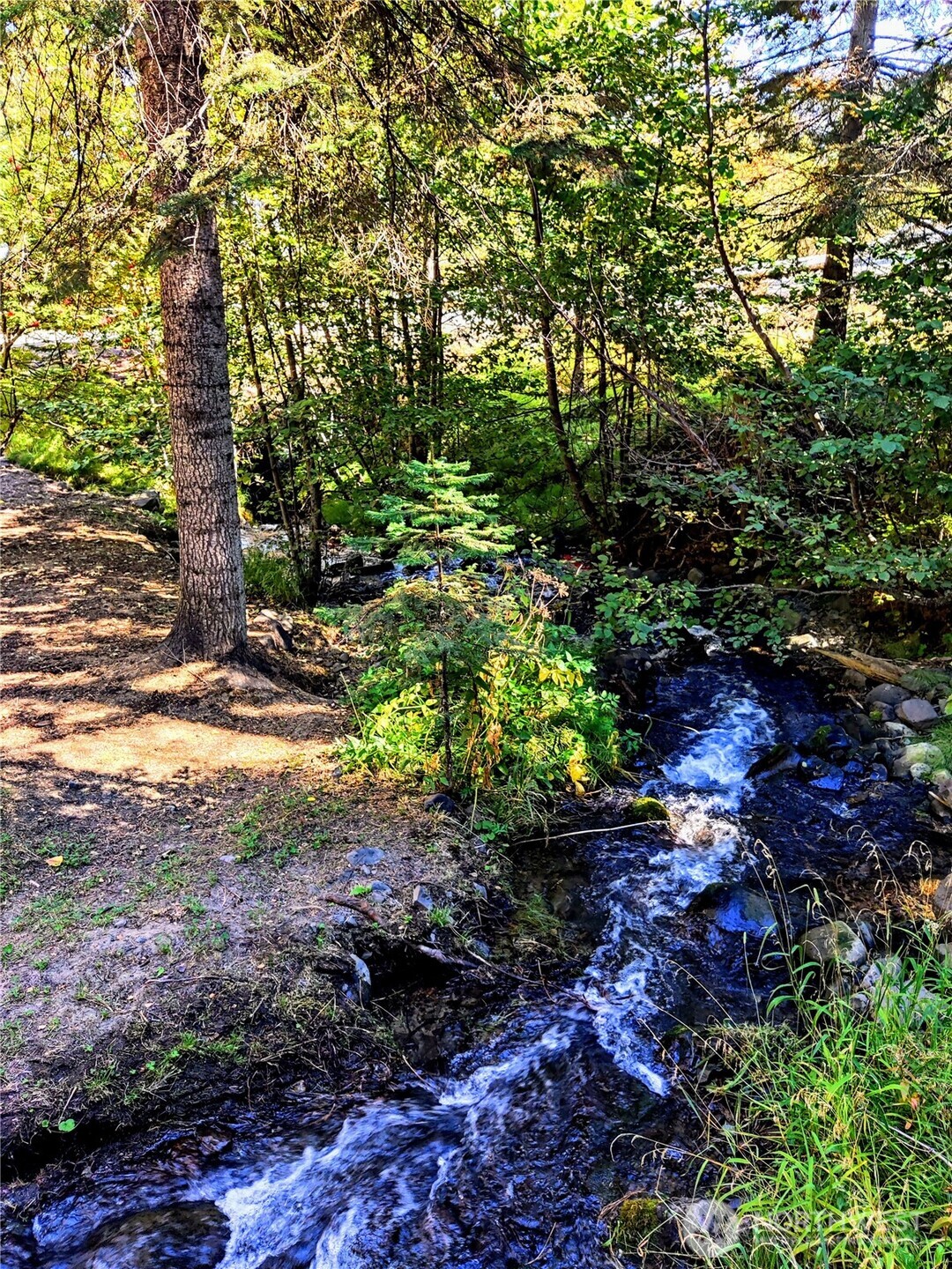 6299 Alder Ct , Wenatchee, WA 98801