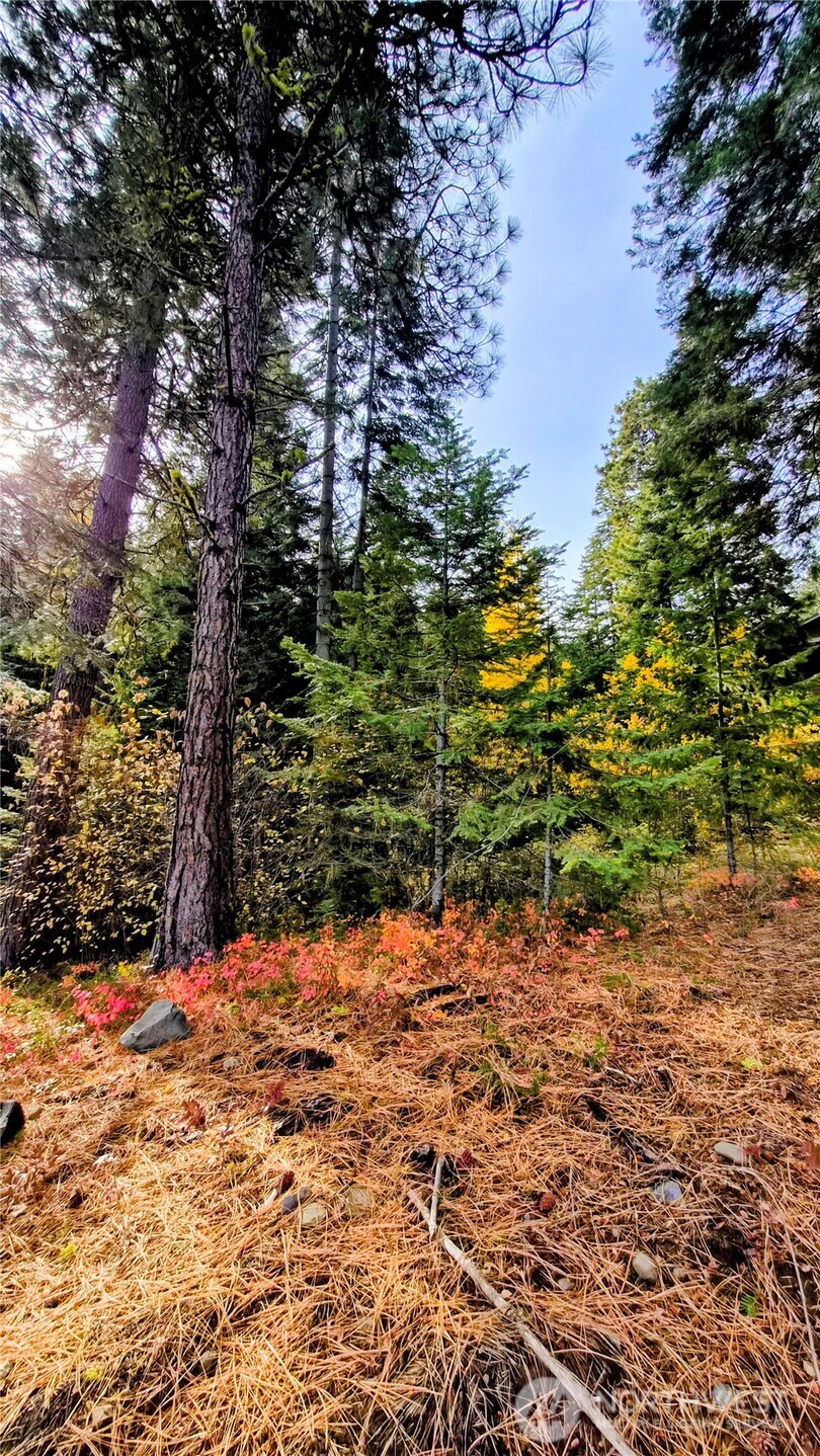 6299 Alder Ct , Wenatchee, WA 98801