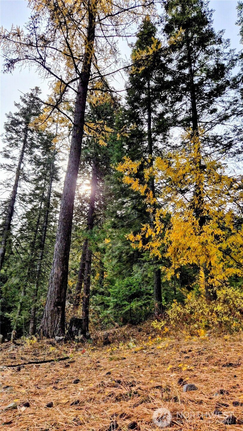 6299 Alder Ct , Wenatchee, WA 98801