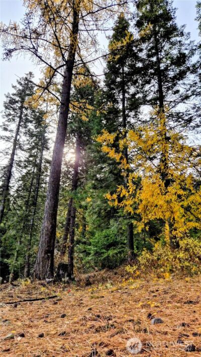 6299 Alder Ct , Wenatchee, WA 98801 - Photo 6