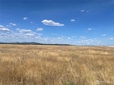 35251 Crescent Road N #3, Reardan, WA 99029 - Photo 1