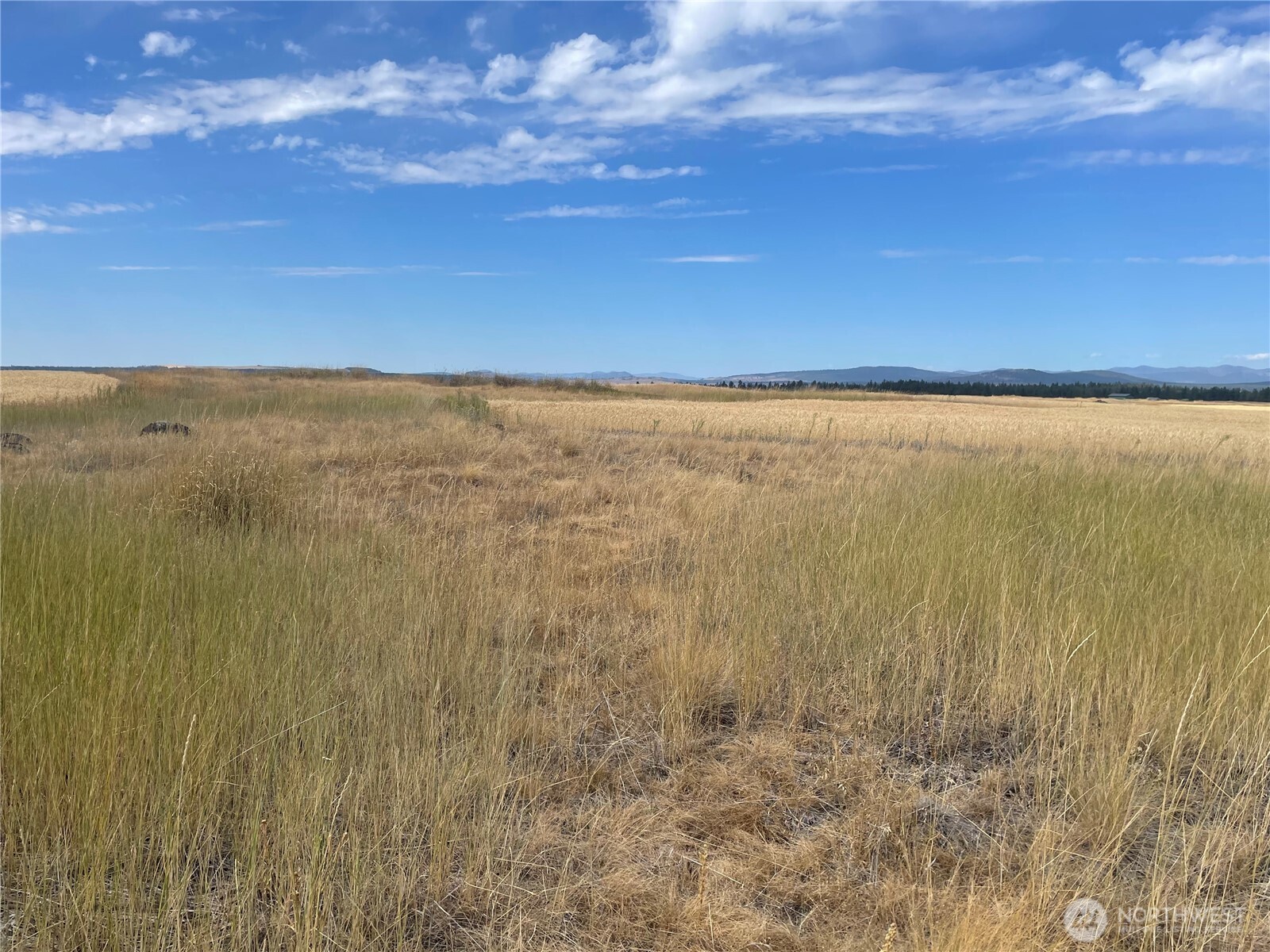 35251 Crescent Road N #3, Reardan, WA 99029