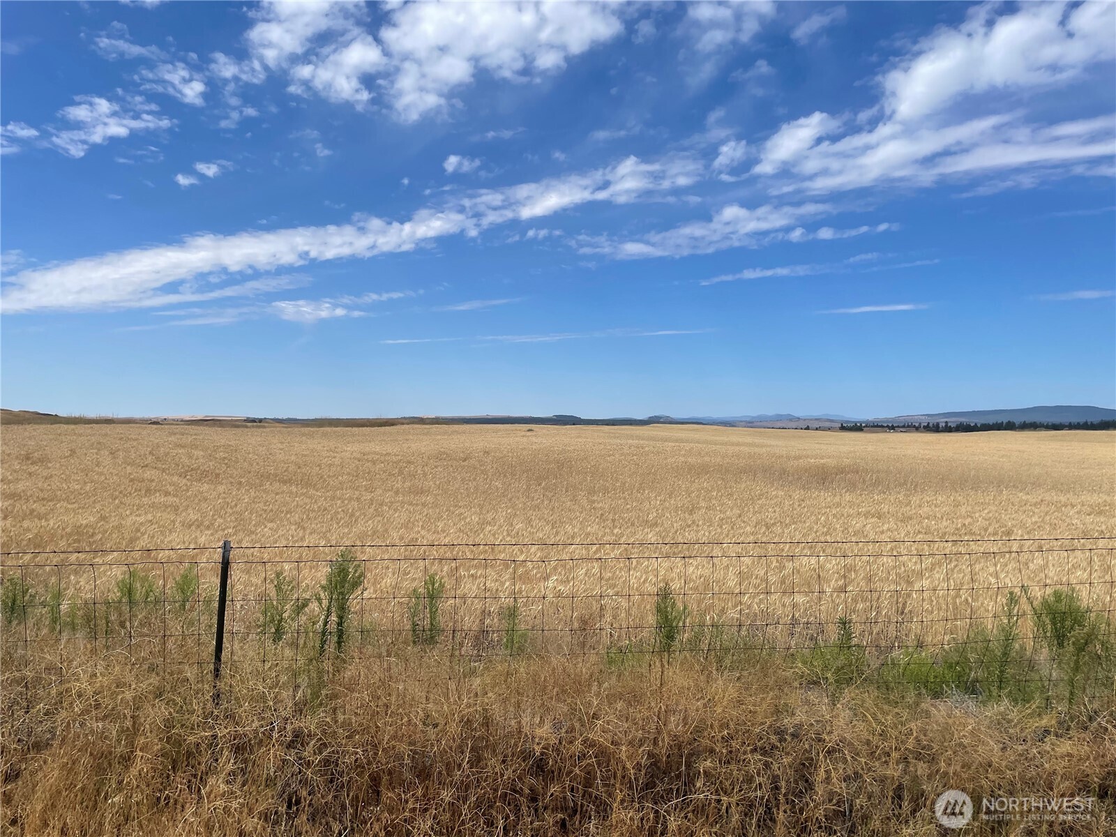 35251 Crescent Road N #3, Reardan, WA 99029