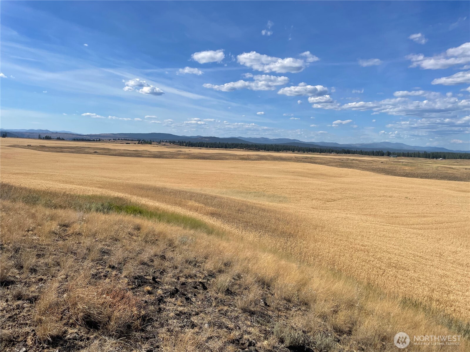 35251 Crescent Road N #3, Reardan, WA 99029