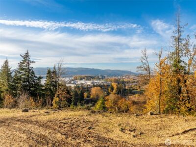 0 Spencer Creek Road #Lot 7, Kalama, WA 98625