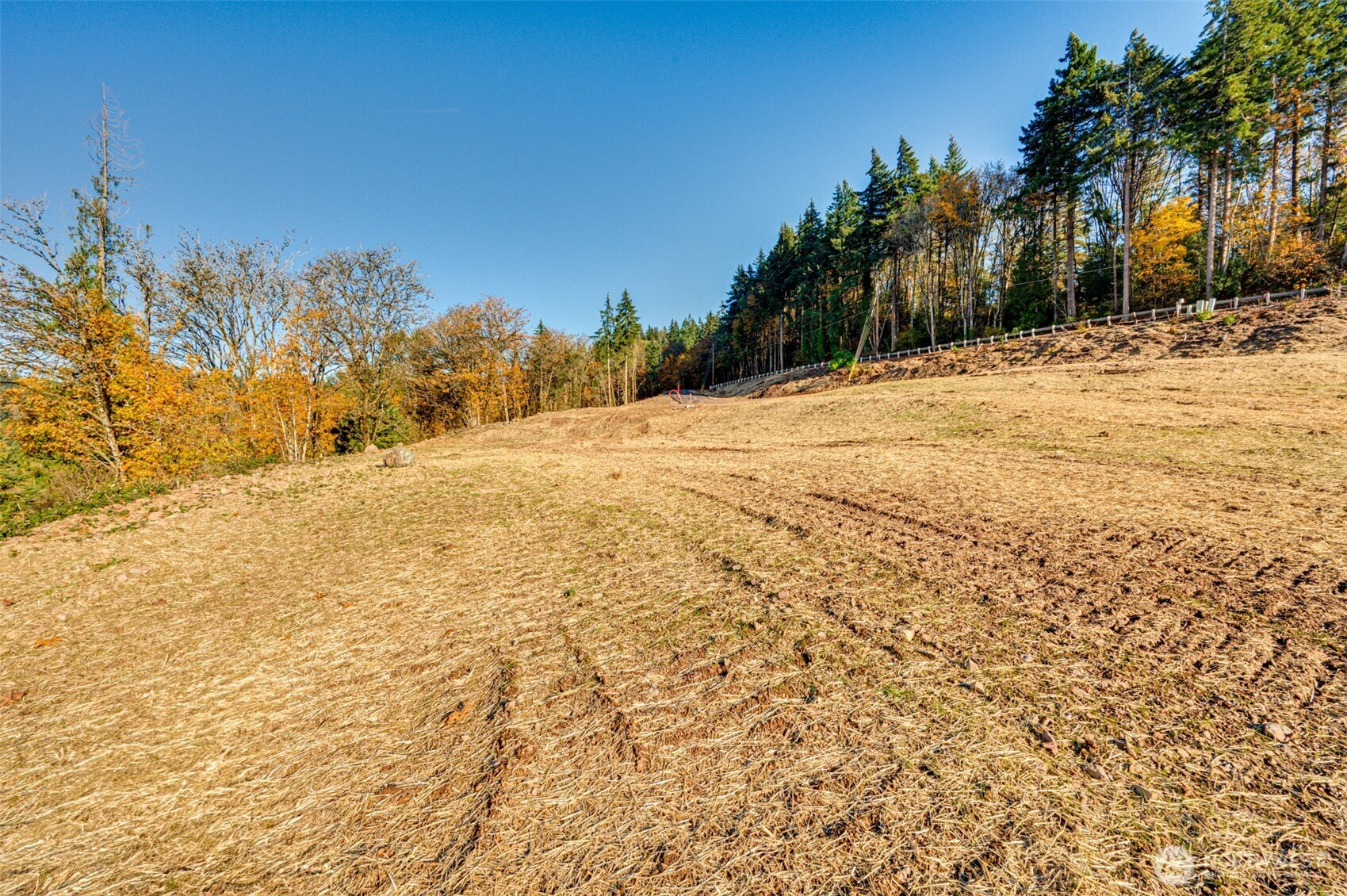 0 Spencer Creek Road #Lot 7, Kalama, WA 98625