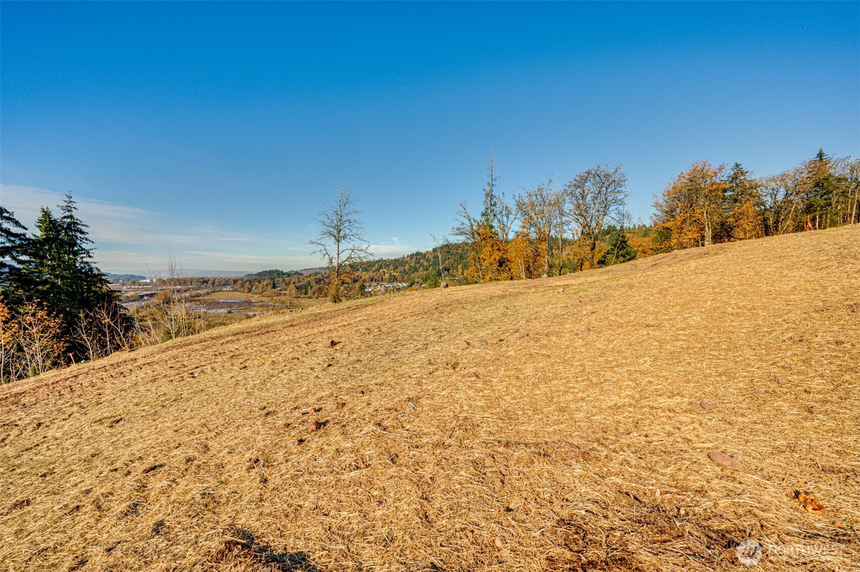 0 Spencer Creek Road #Lot 7, Kalama, WA 98625