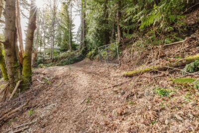 10212 NE North Shore Road , Belfair, WA 98528 - Photo 18