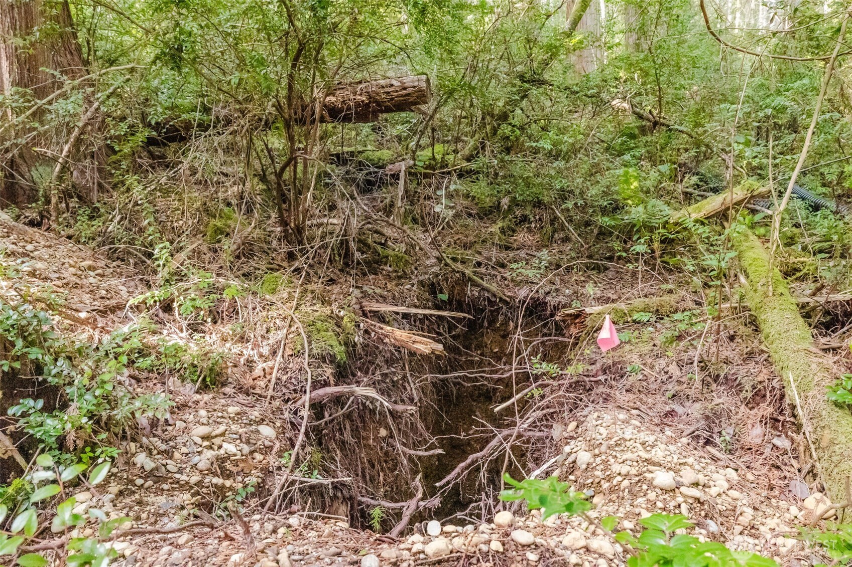 10212 NE North Shore Road , Belfair, WA 98528