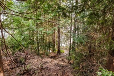 10212 NE North Shore Road , Belfair, WA 98528 - Photo 23