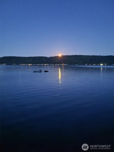 10212 NE North Shore Road , Belfair, WA 98528 - Photo 29