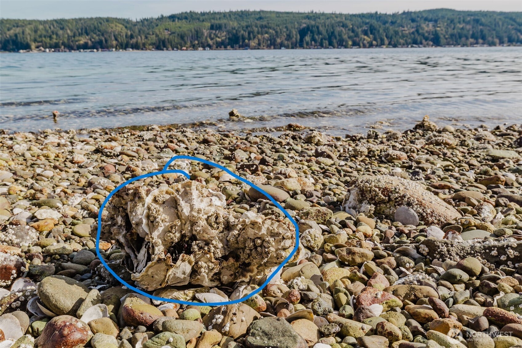 10212 NE North Shore Road , Belfair, WA 98528