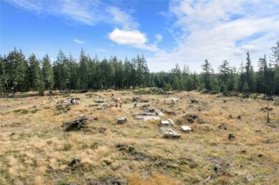 111 W Bear Grass Lane , Shelton, WA 98584 - Photo 27