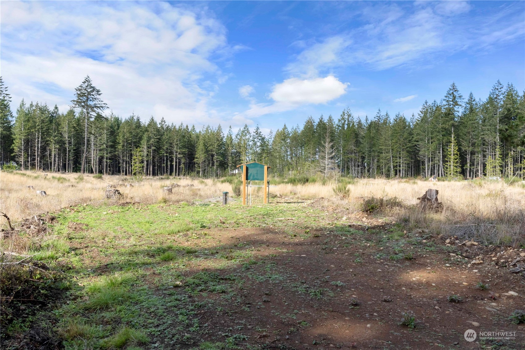 111 W Bear Grass Lane , Shelton, WA 98584