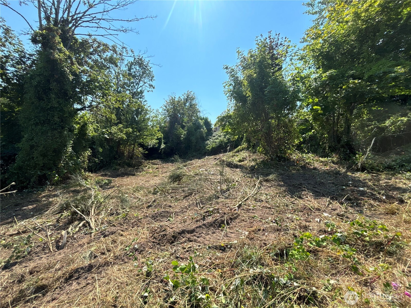 1117 13th Street , Bremerton, WA 98337