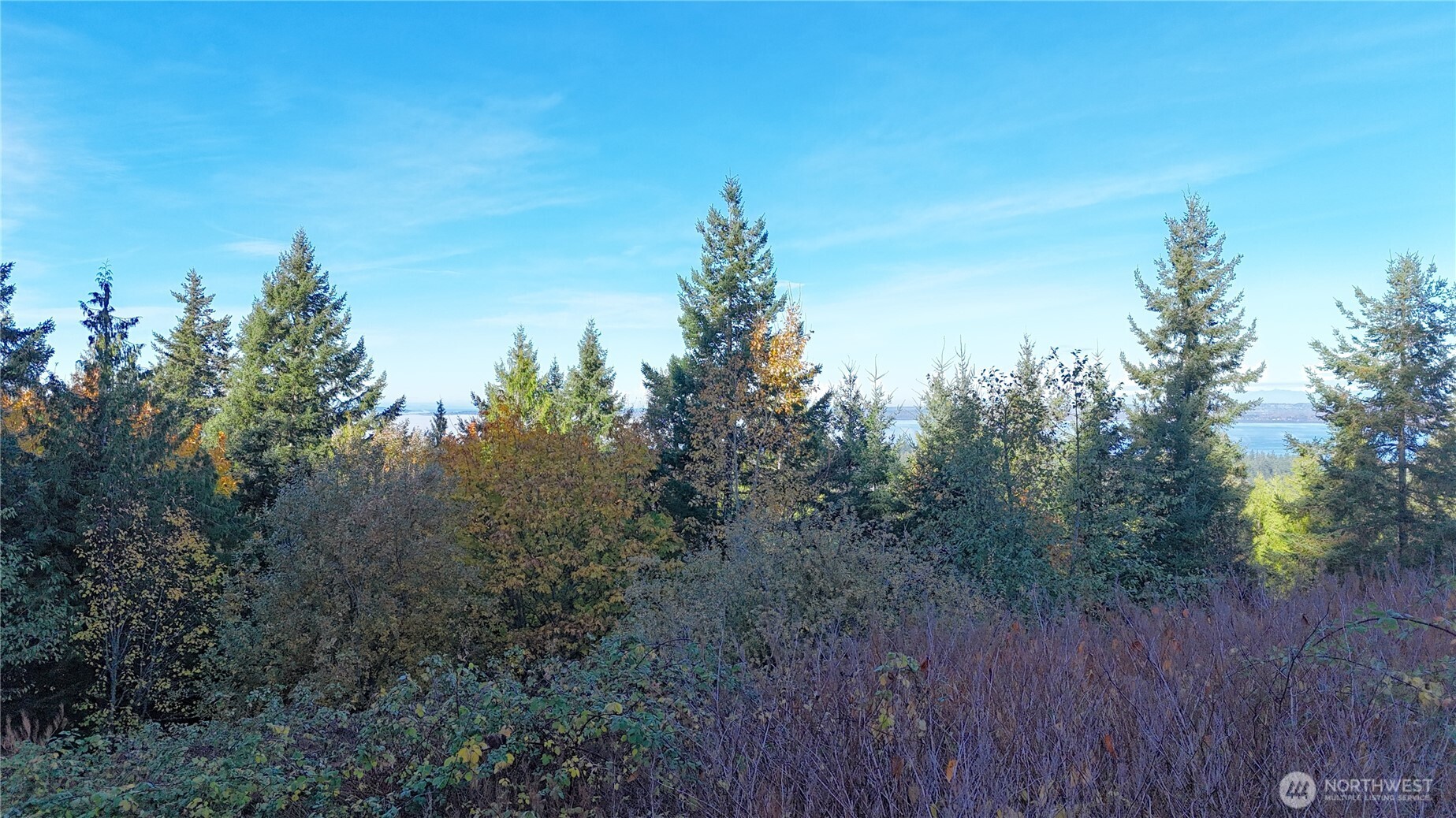 2408 Sonora Lane , Bellingham, WA 98229