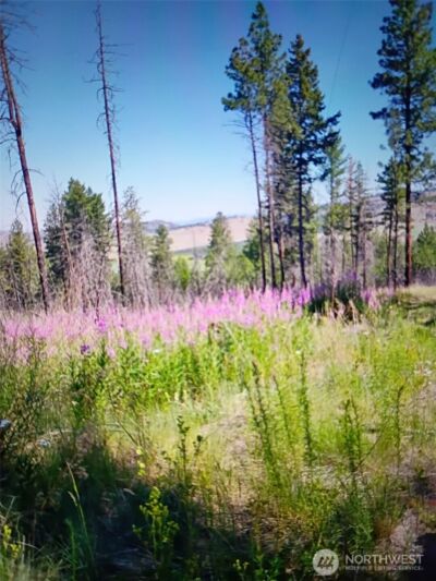 111 TBD J H Green RD , Tonasket, WA 98855