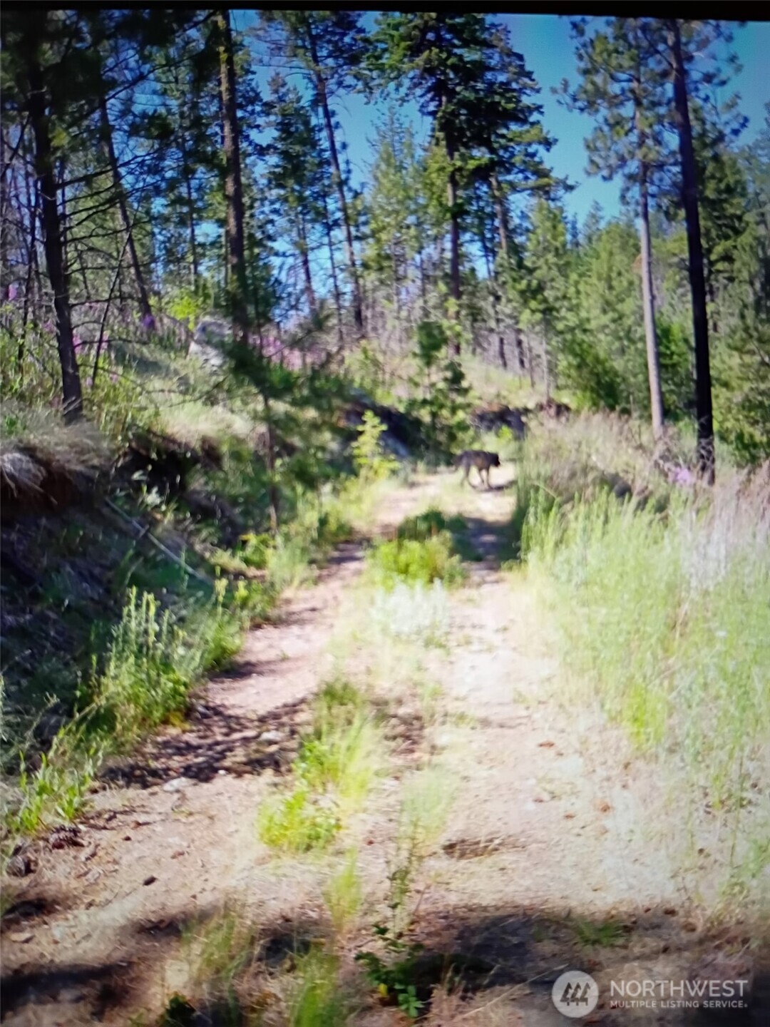 111 TBD J H Green RD , Tonasket, WA 98855