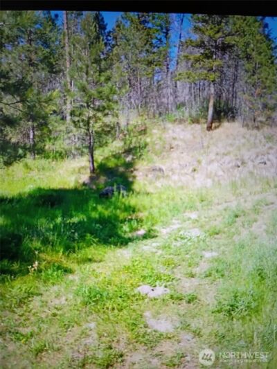 111 TBD J H Green RD , Tonasket, WA 98855 - Photo 12