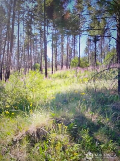 111 TBD J H Green RD , Tonasket, WA 98855 - Photo 13