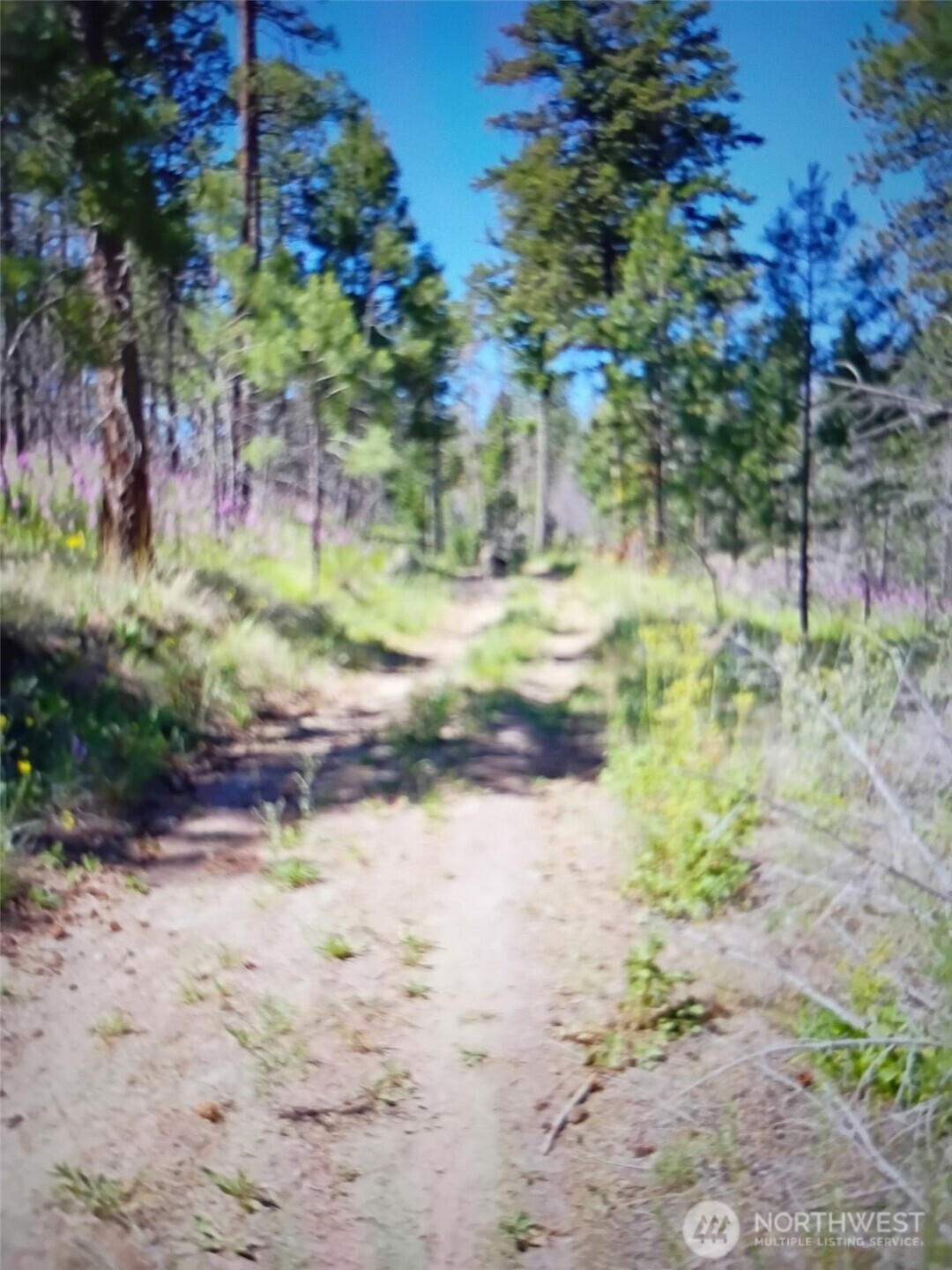 111 TBD J H Green RD , Tonasket, WA 98855