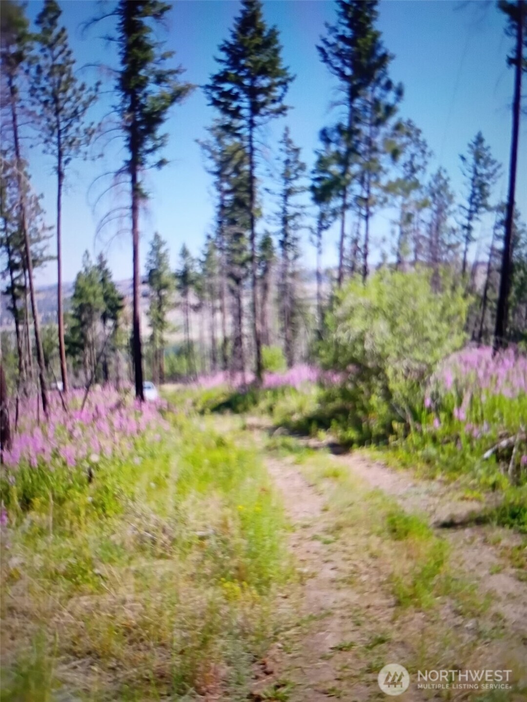 111 TBD J H Green RD , Tonasket, WA 98855