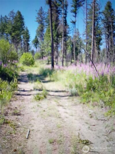 111 TBD J H Green RD , Tonasket, WA 98855 - Photo 16