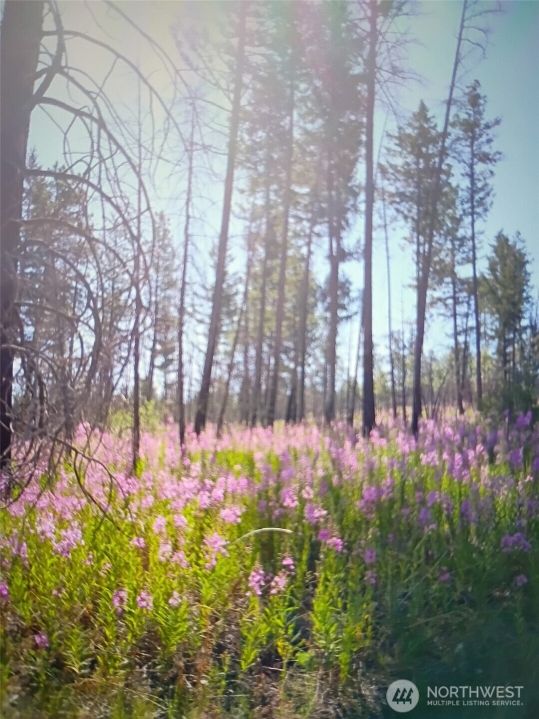 111 TBD J H Green RD , Tonasket, WA 98855