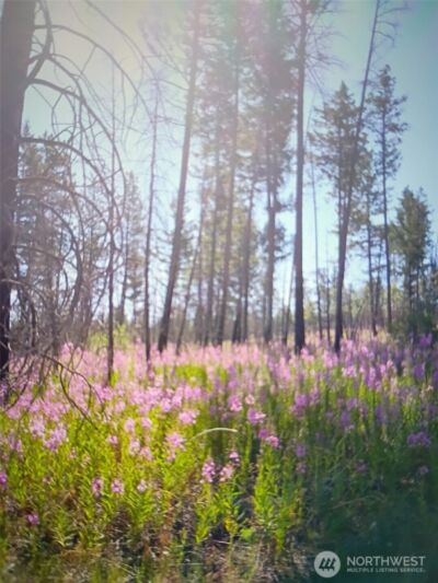 111 TBD J H Green RD , Tonasket, WA 98855 - Photo 17