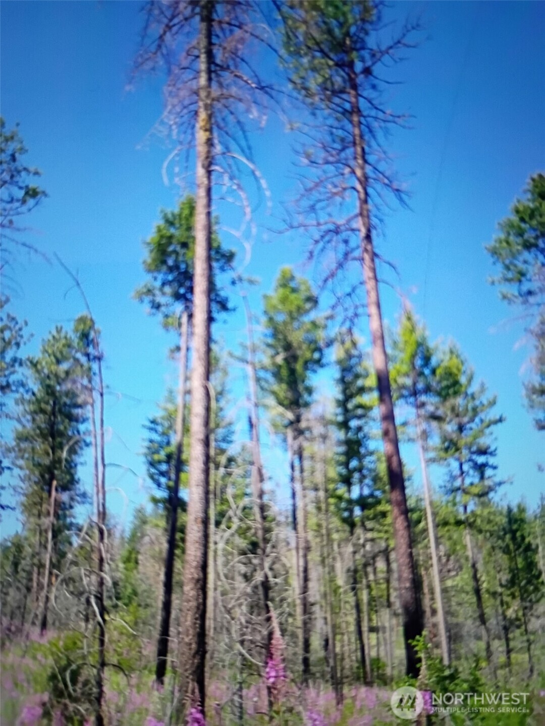 111 TBD J H Green RD , Tonasket, WA 98855