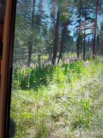 111 TBD J H Green RD , Tonasket, WA 98855 - Photo 2