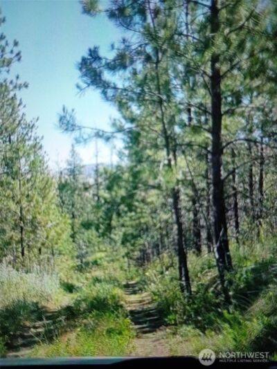 111 TBD J H Green RD , Tonasket, WA 98855 - Photo 3