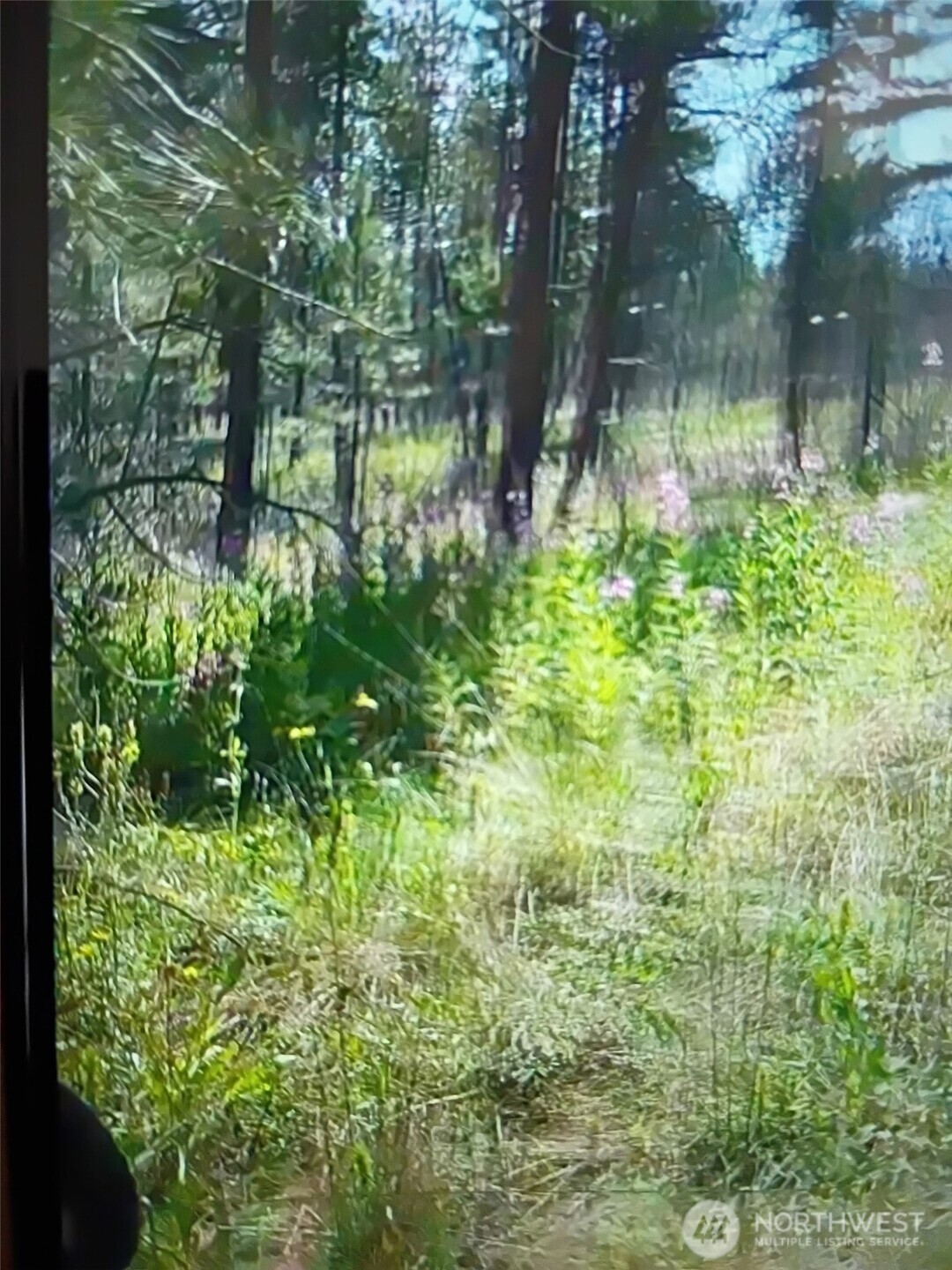 111 TBD J H Green RD , Tonasket, WA 98855